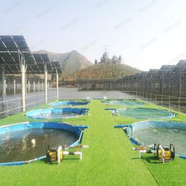 PVC-Aquarium für den Innen- und Außenbereich